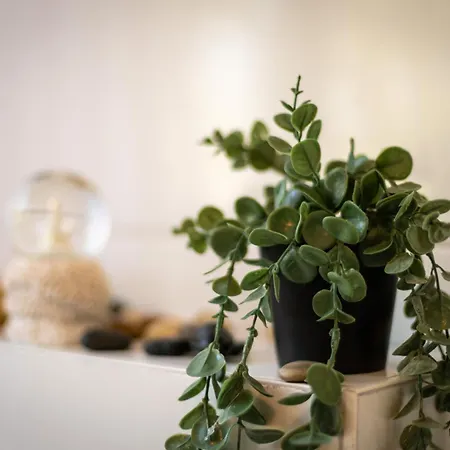 Guermache Grosse 130m2 Mit Wintergarten *