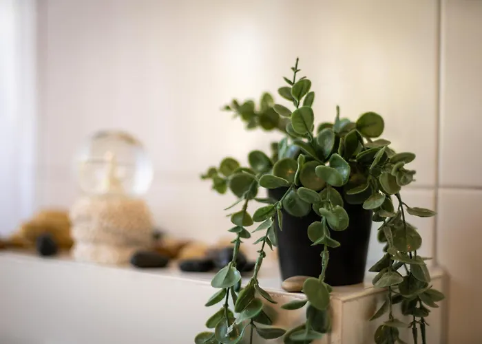 Guermache Grosse 130m2 Mit Wintergarten *